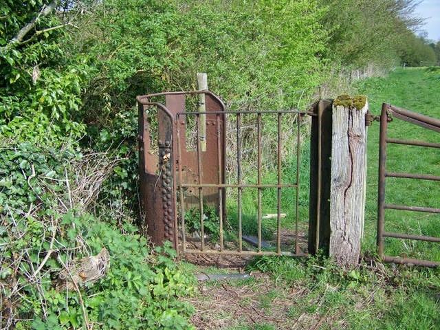 view of old metal gate with a small, ornamental metal enclosure at one end