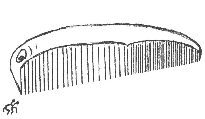 a live-hair-comb, with eyes, glaring at a bug