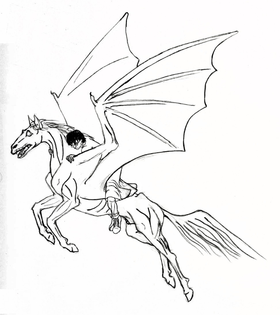 pencil drawing of Thestral taking off with Harry on its back
