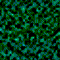 square of speckled dark greens