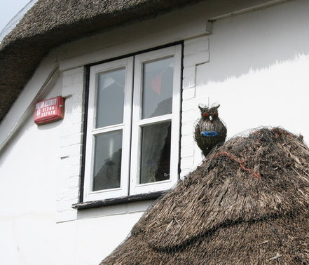 part of frontage of white cottage with thatched roof and porch, with an owl modelled from straw perched on the thatch over the porch