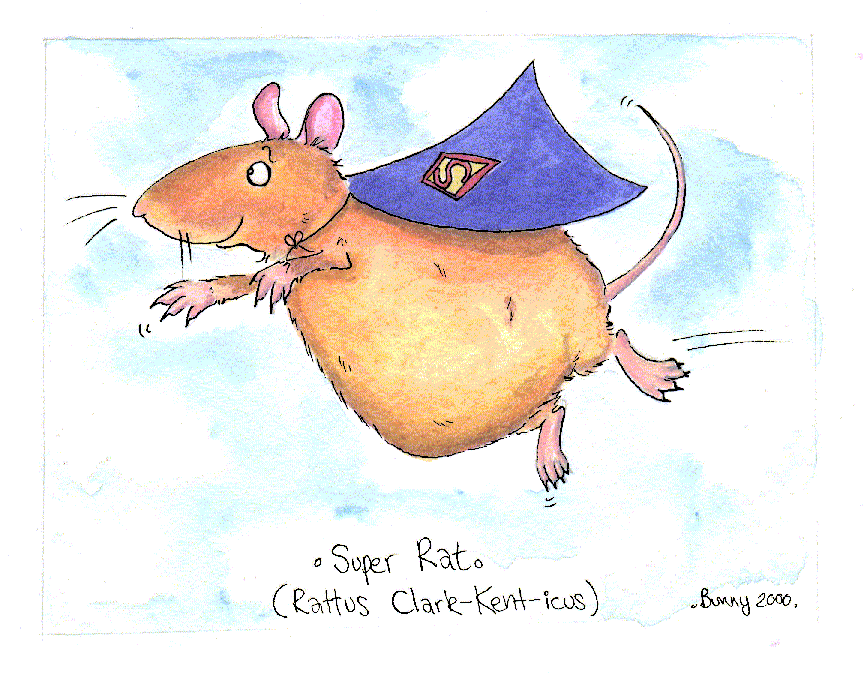 Super Rat (Rattus clark-kent-icus):- coloured cartoon of rat in Superman cape, flying through clouds
