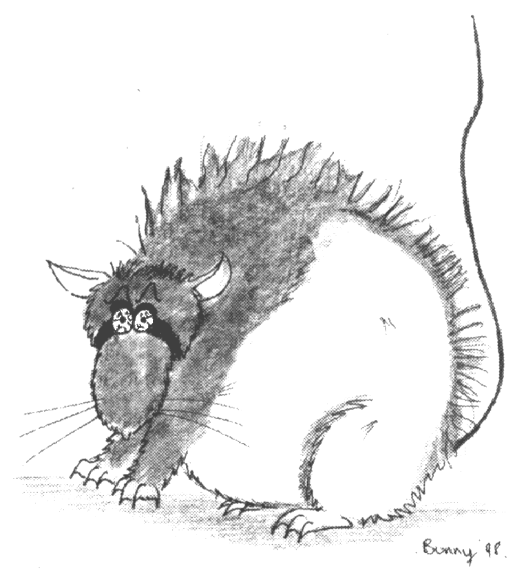 Rattus don't-mess-wiv-me-icus:- greyscale cartoon of aggressive buck rat, fluffed up and with bloodshot eyes