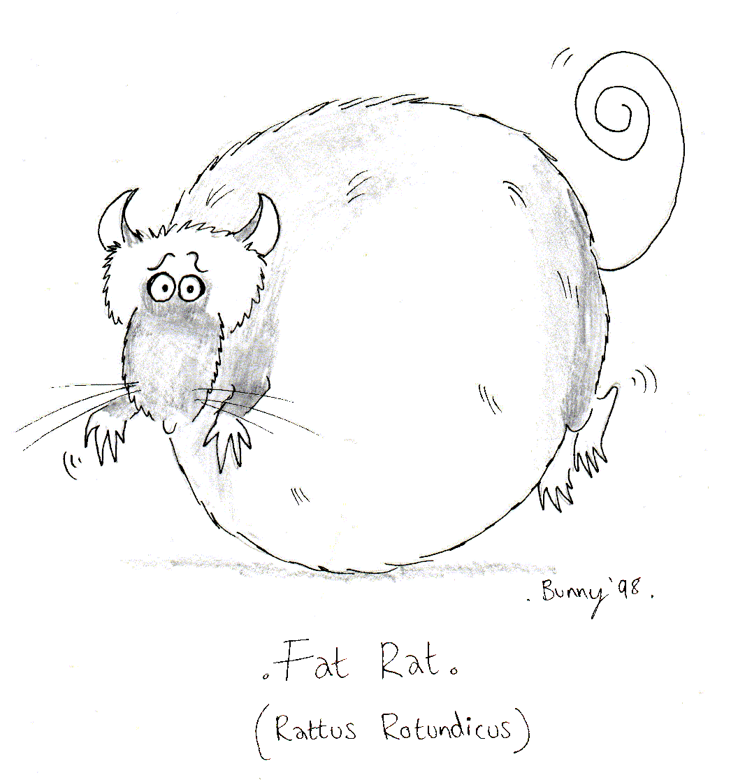 Fat Rat (Rattus rotundicus):- greyscale cartoon of confused-looking rat lying on its stomach, which is so fat its legs don't reach the ground