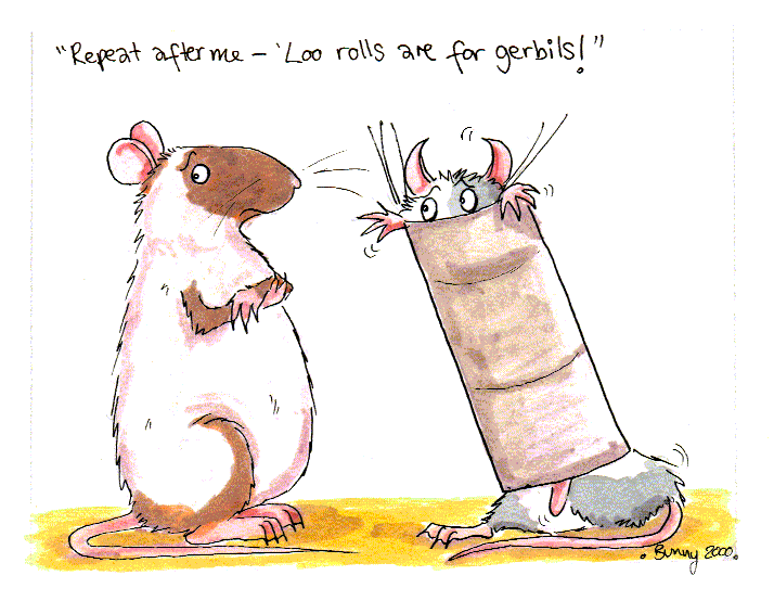 Repeat after me - 'Loo rolls are for gerbils!':- coloured cartoon of adult rat looking pained as young rat gets stuck in cardboard tube