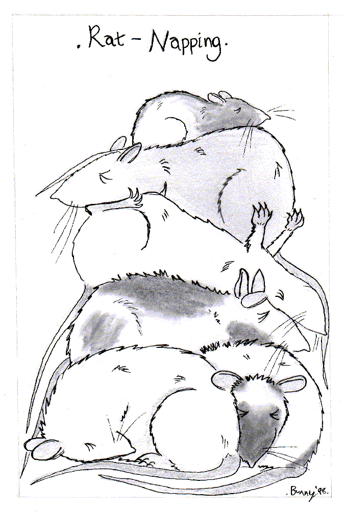 Rat-Napping:- greyscale cartoon of six rats sleeping piled one on top of the other