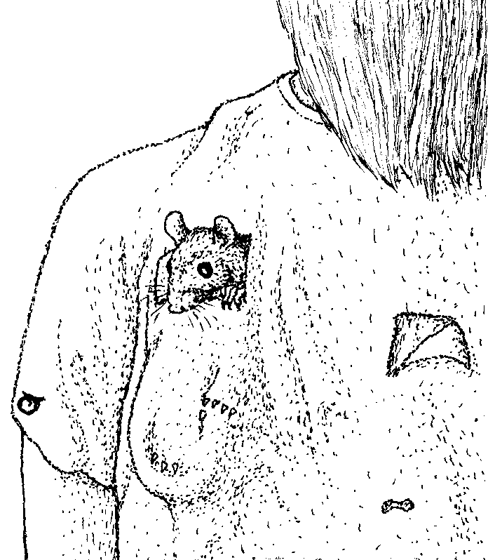 Caricature of rat looking out through new hole in someone's tee-shirt