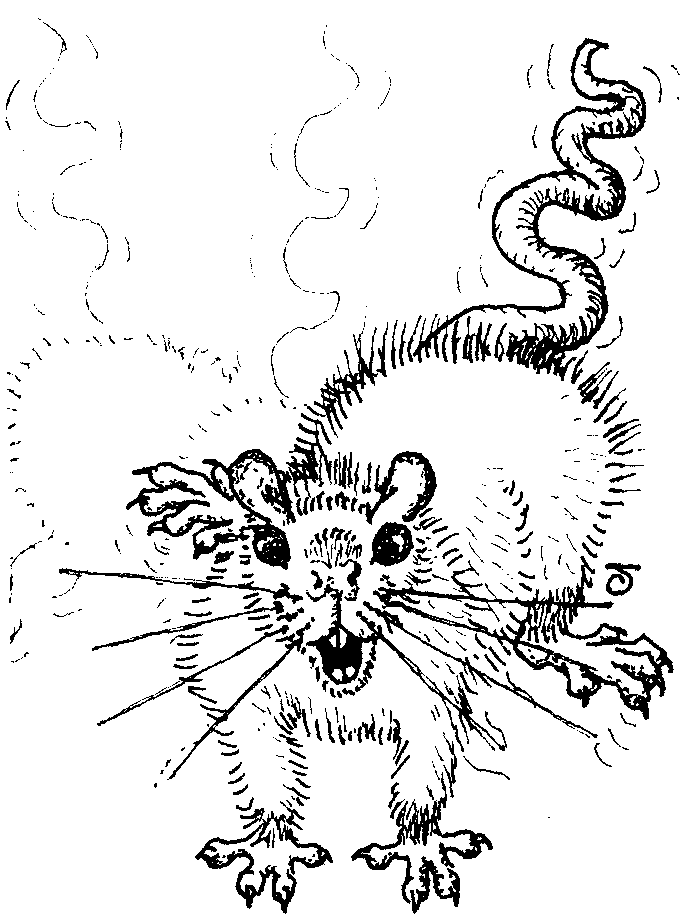 Caricature of buck rat, seen head-on, bristling his fur, waltzing his behind from side to side and lashing his tail