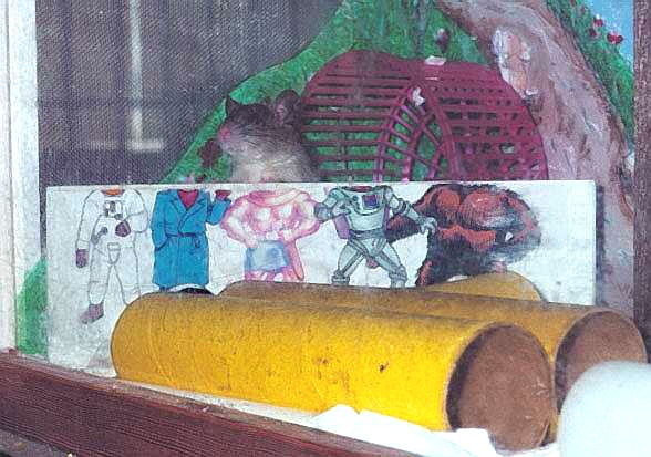Cage-tank containing miniature fairground game - a board with muscular torsos painted on it, with a frugivorous ship doe's head appearing on top of the torso of an Ancient Egyptian