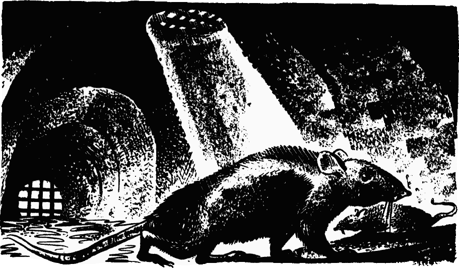 Blocky black & white drawing of two sewer-rats in heavily shadowed underground scene