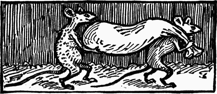 Black & white drawing of two rats on their hind-legs, carrying a small sack between them