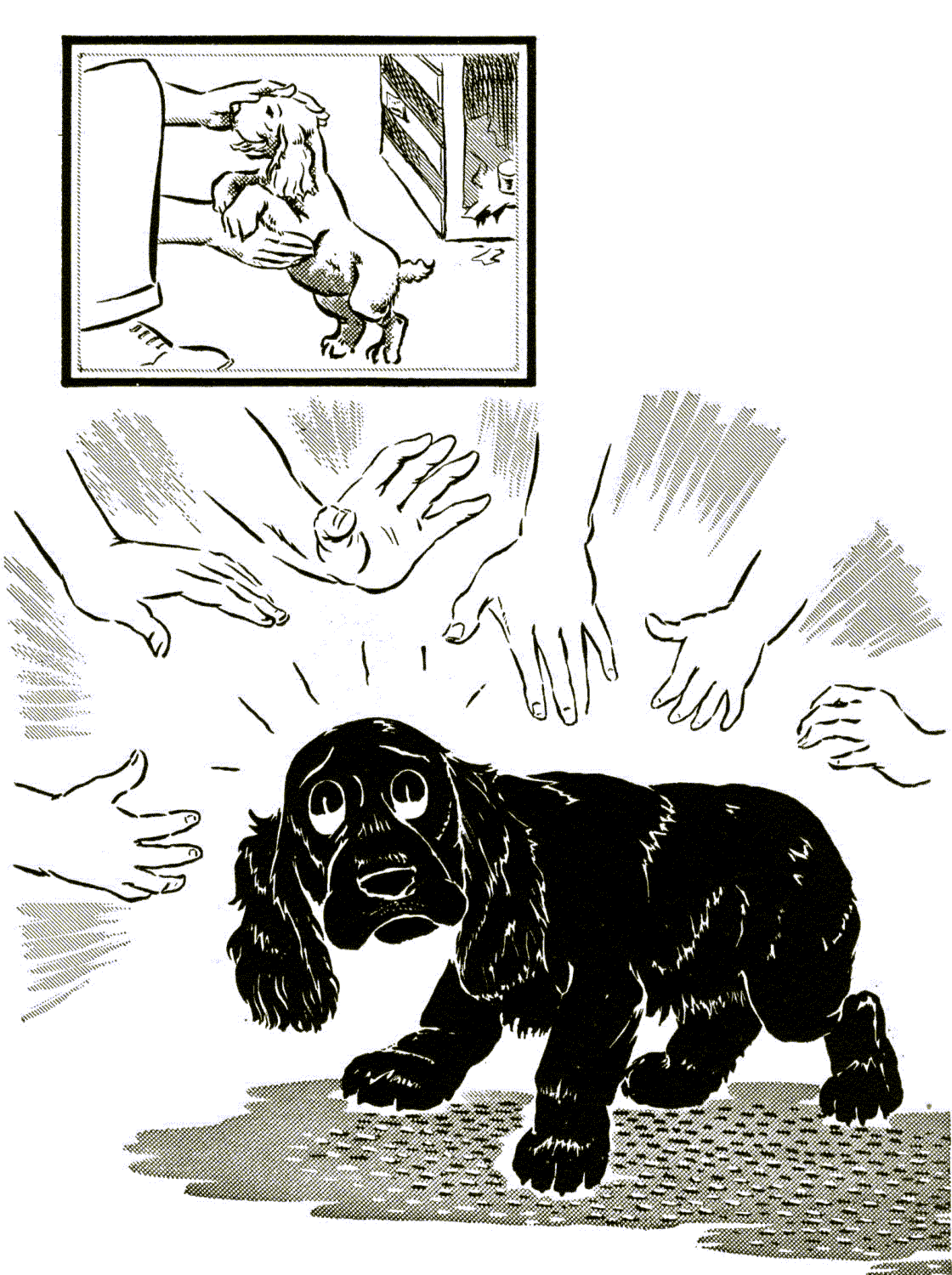Black & white drawing of black spaniel puppy beleaguered by too many patting hands