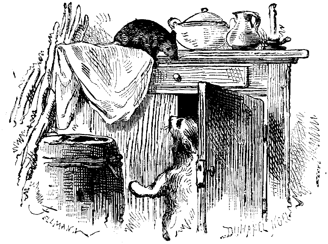 Black and white drawing of black rat crouching on kitchen work-top looking down at cat