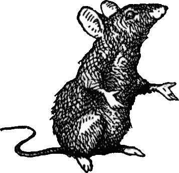 Black & white Tenniel drawing of ship rat/mouse sitting up on its haunches with hands outstretched - with thumbs!