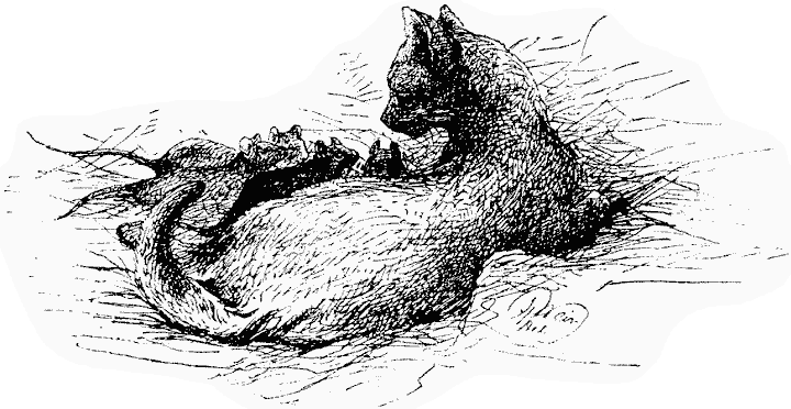 Black & white drawing of four rats snuggling up to a cross-looking black cat, all lying in straw
