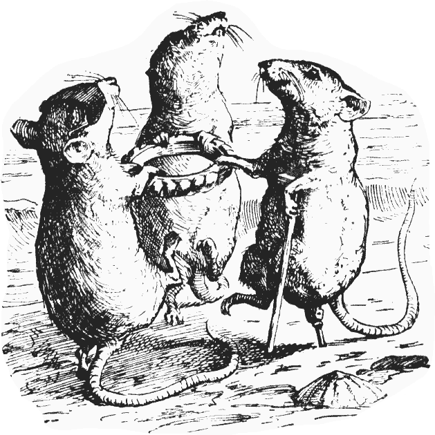 Black & white drawing of three pirate mice - one with eye-patch, one with wooden leg and crutch - holding a jewelled ring and dancing round it