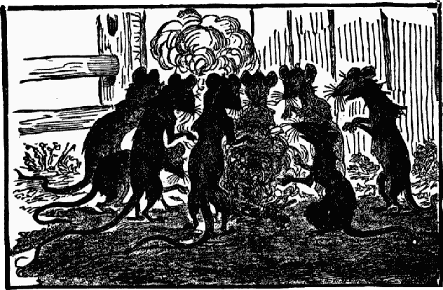 Black and white drawing of several ship rats standing on their hind-legs around a fire