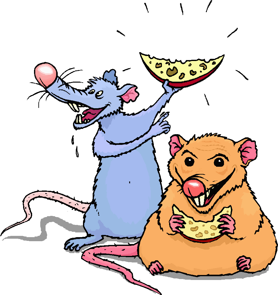 Coloured cartoon of very fat orange rat sitting on his behind clutching a piece of cheese, with a thinner blue rat standing on his hind-legs behind him, waving another piece of cheese in the air