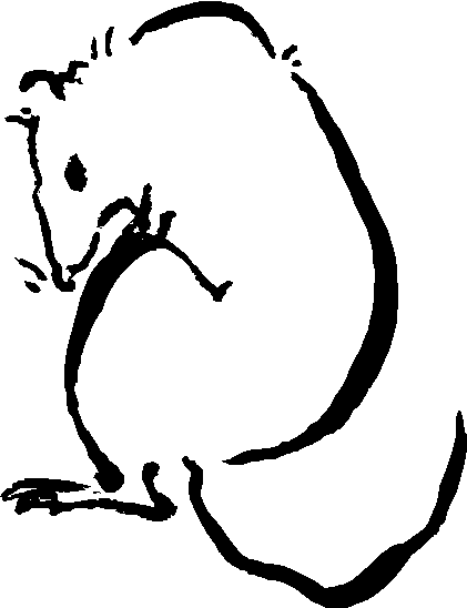Line-drawing, in bold strokes, of rat sitting up grooming itself