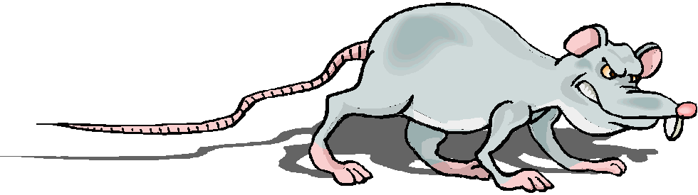 Coloured cartoon of grey rat slinking along as if rubbing itself against a wall