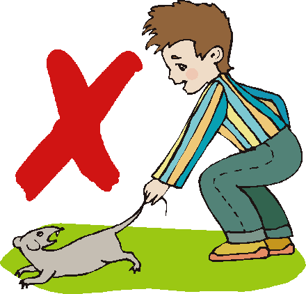 Coloured cartoon of small boy pulling an irate grey rat\'s tail - with red cross to denote error