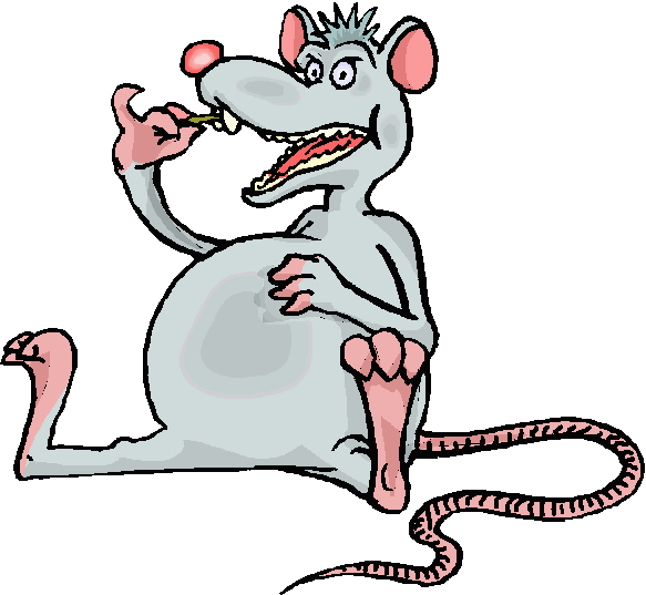 Coloured cartoon of pale grey rat sitting back picking his teeth