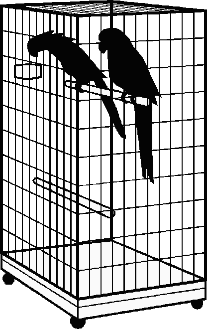 Silhouette of two macaws in large cage