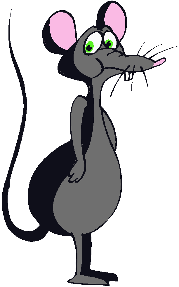 Dark-grey ship rat with big stomach and rueful expression, standing on hind legs