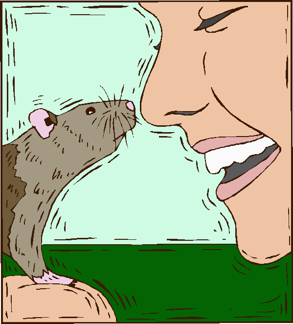 Coloured drawing of brown-grey rat rubbing noses with a smiling woman