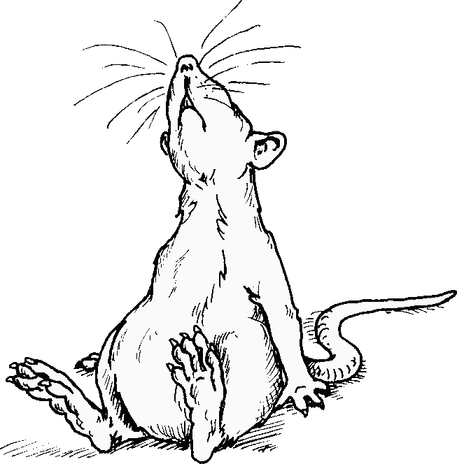 Line drawing of rat sitting back human-fashion