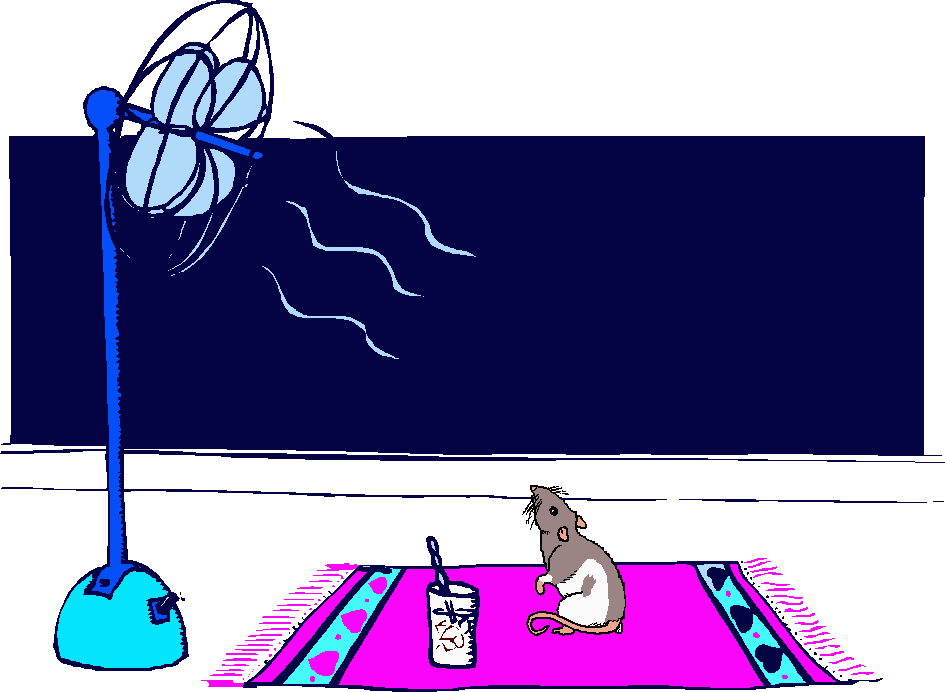Coloured cartoon of rat sitting on rug in front of large fan, next to glass of iced drink