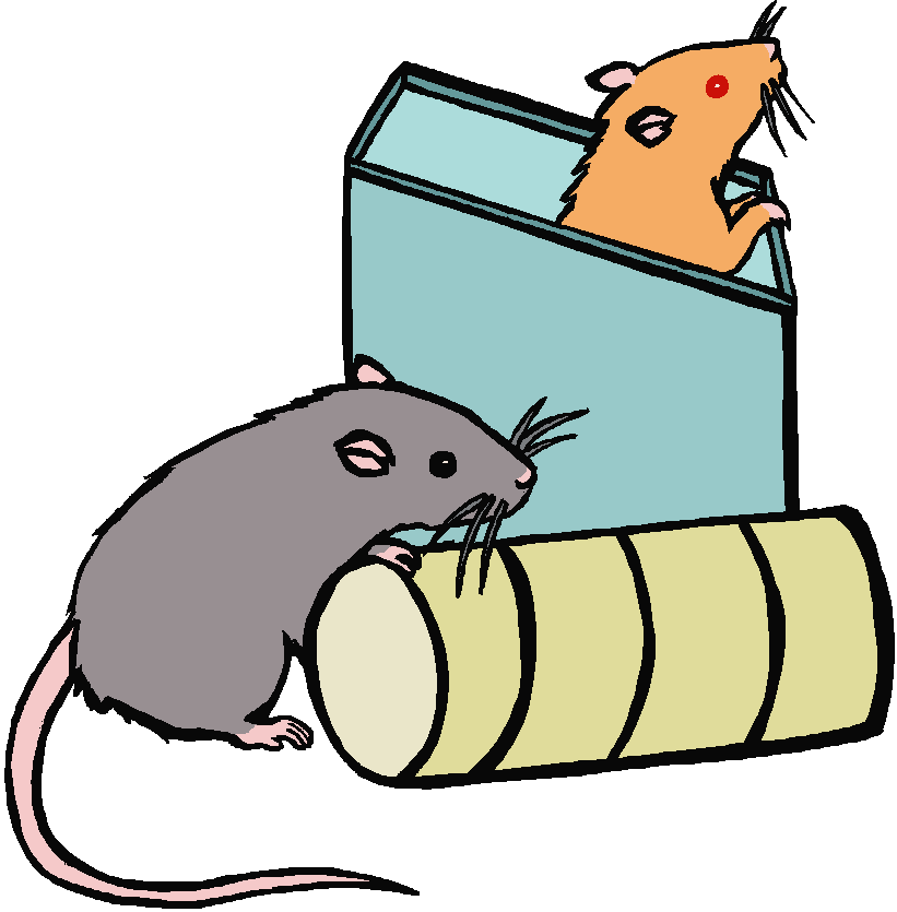 Drawing of fawn rat sitting up in blue box and mink rat sitting by cardboard tube