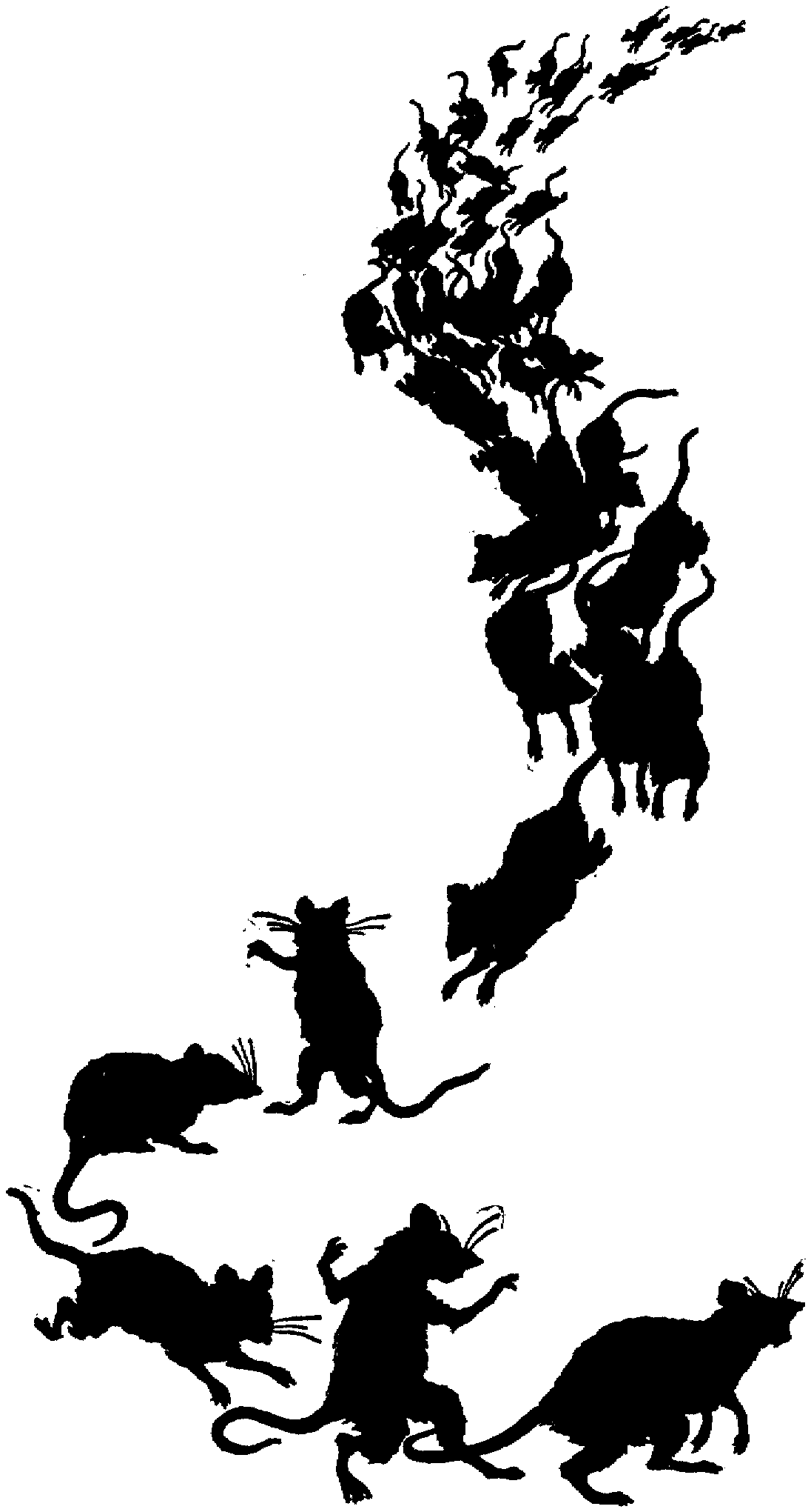 Silhouette of large group of rats on the move, some standing upright