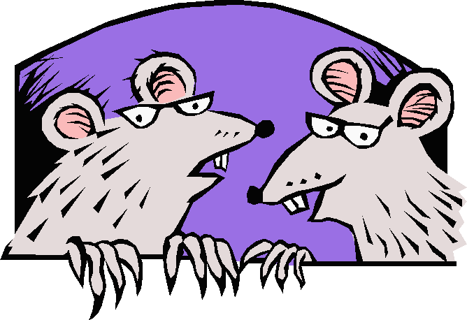 Spiky coloured cartoon of faces of two sardonic-looking rats wearing glasses