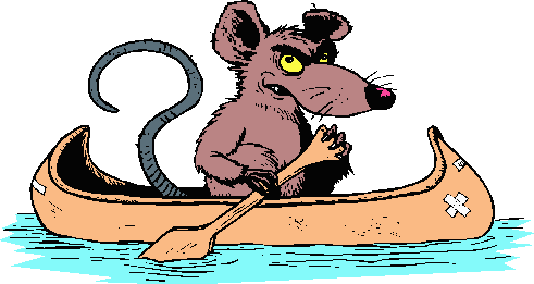 Coloured cartoon of irate rat paddling a canoe