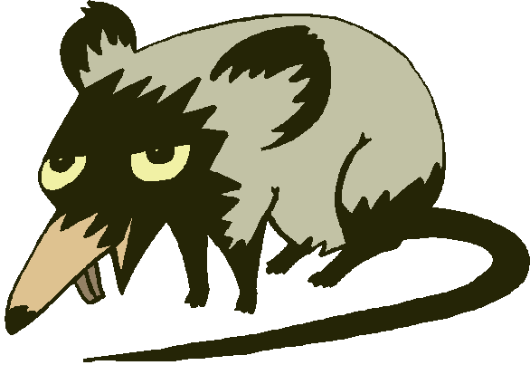 Black and yellow drawing of weird-looking point-nosed rat glaring balefully