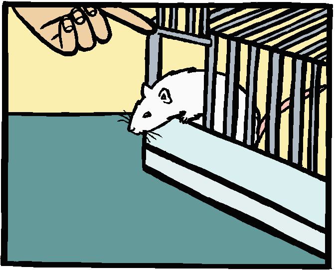 Coloured drawing of a hand holding a cage-door open to allow a white rat to come out