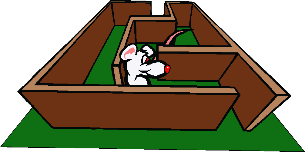 Coloured cartoon of white rat in maze