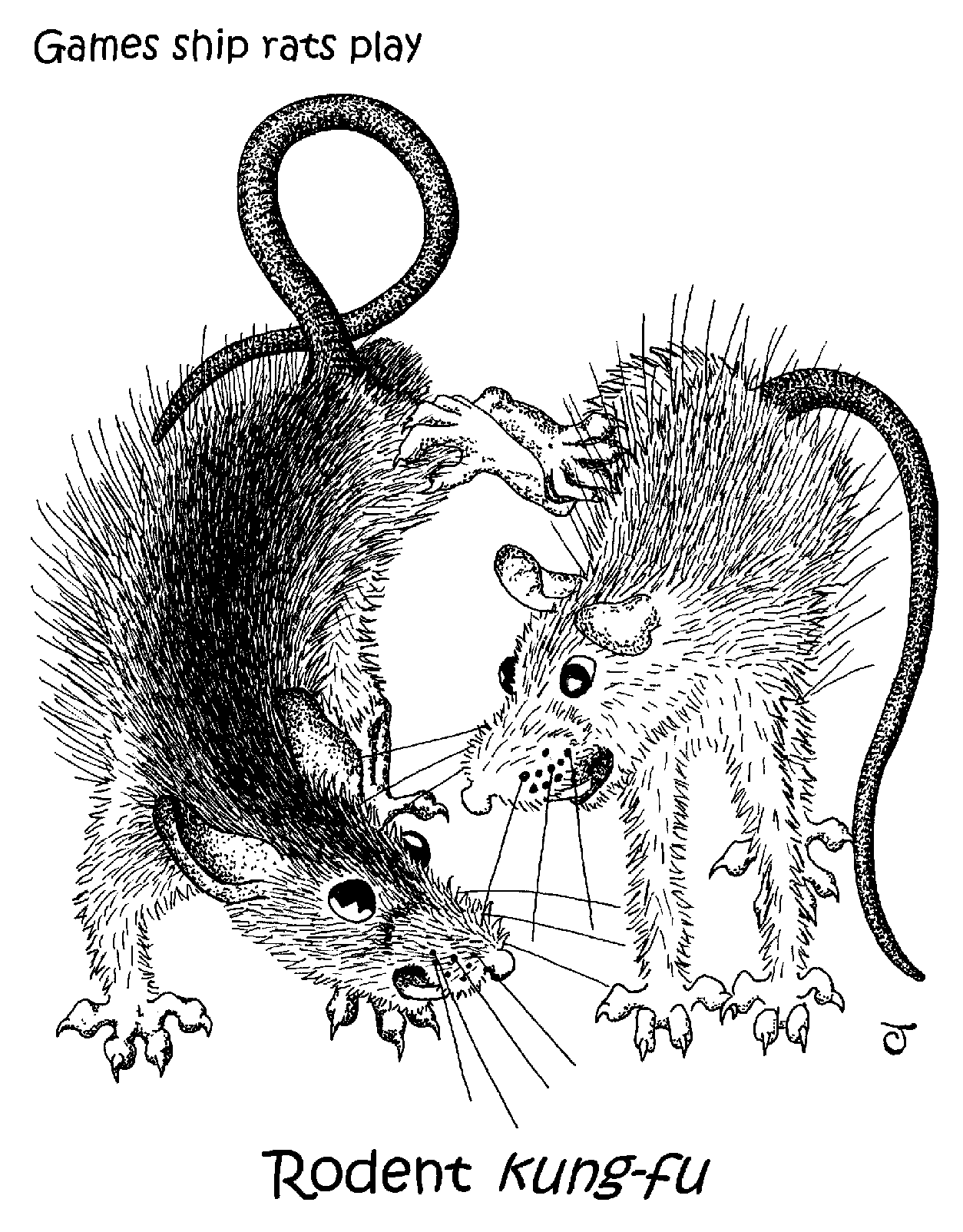 Caricature of two buck ship rats kick-boxing