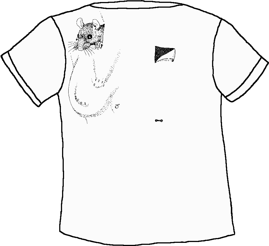 Outline of back of T-shirt showing position of drawing