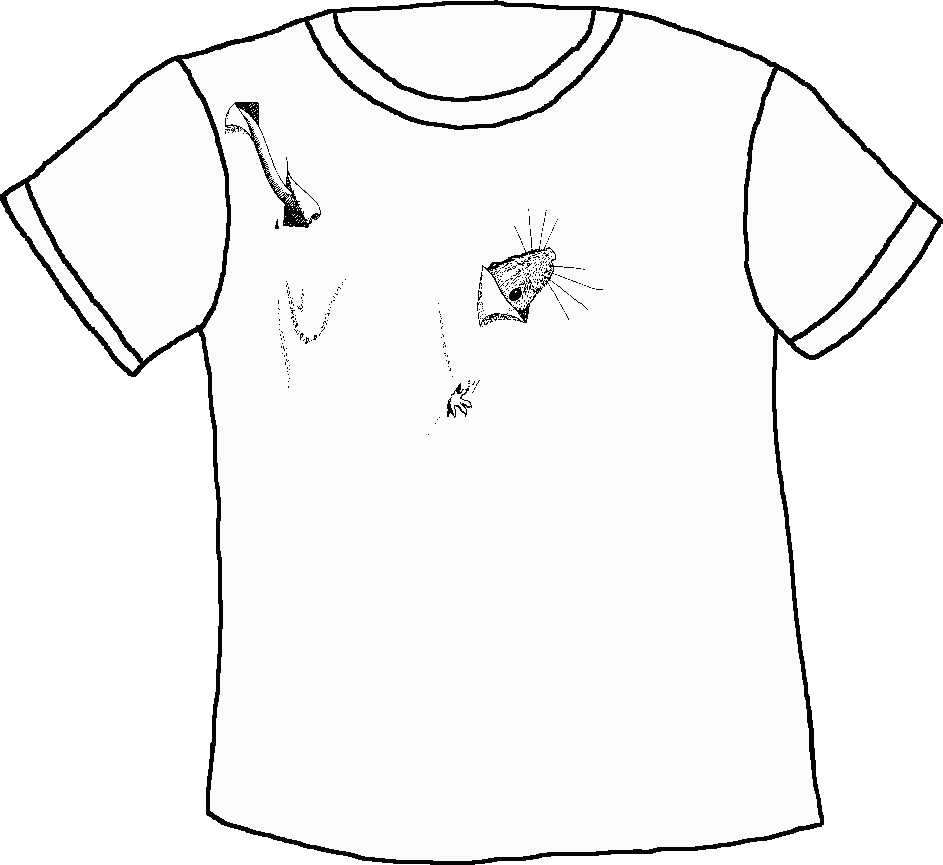 Outline of front of T-shirt showing position of drawing