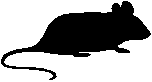 Bullet-point in form of silhouette side-view of crouching ship rat
