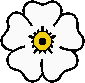 Bullet-point in form of white rose