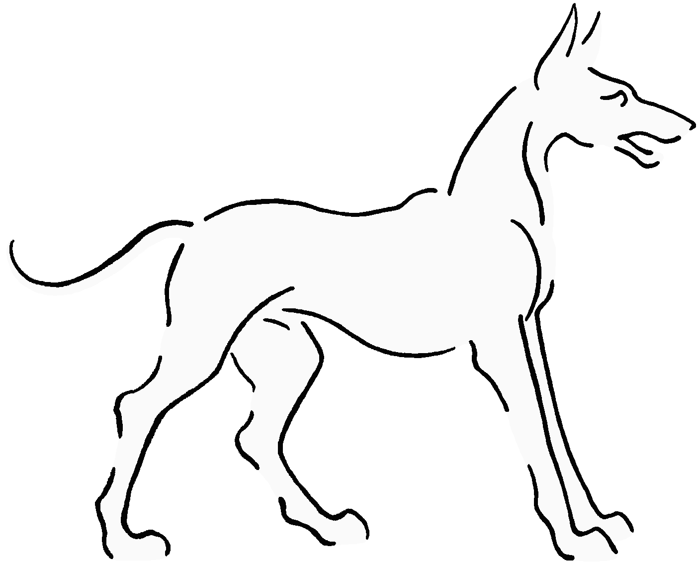 Outline drawing of white lurcher