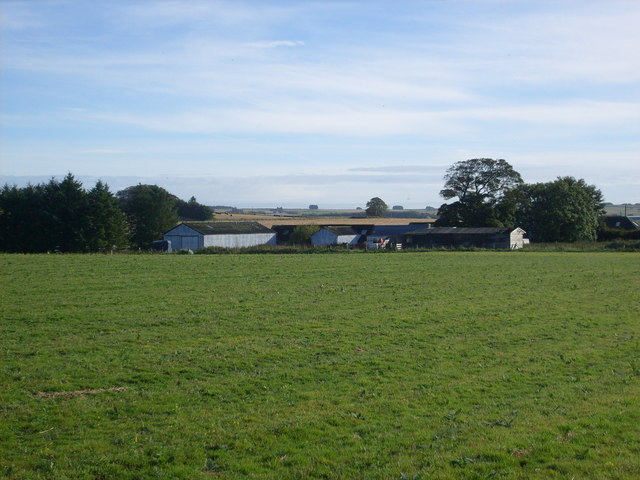 view across grass or young crops towards a cluster of low barns flanked by trees, with fields rising gently behind them