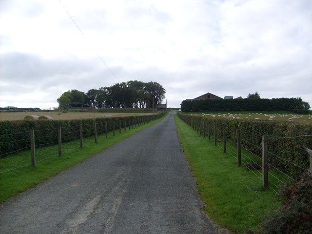 looking down a long, straight single-track road between hedges, to a cluster of trees and farm buildings on the skyline