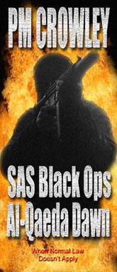 SAS Style Book. Action-packed. When normal law breaks down - Jonny Davies is sent in!