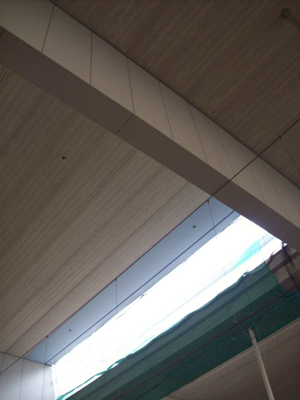 photograph of the roof at Rotterdam Blaak Station