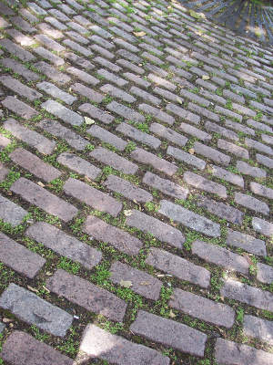 photograph of some cobbles