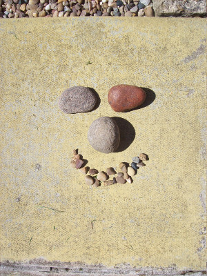 a photograph of some pebbles